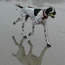 AHSpey's profile picture. Do not auto DM. You will be unfollowed and blocked.