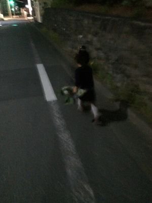 もふもふげっ歯類と暮らして、
ベンリナモノ探索好き、心地いいって言葉いい、庭で家庭用ちっさいマシンで造園やったり、フレンチロップと暮らしたり。