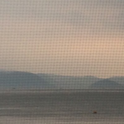 lignedombre's profile picture. 