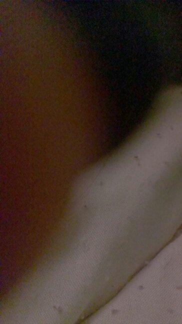 SuperstructureP's profile picture. LIVIN SUPERSTRUCTURE LIFE