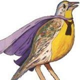 @meadowlarklib