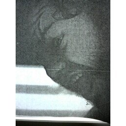 romPePecho's profile picture. 