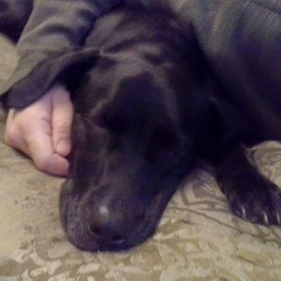 dawnhunt71's profile picture. 