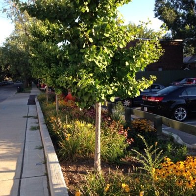 TOGreenStreets's profile picture. Unofficial pics of Green Streets projects, designs/community workshops/construction etc (@SheilaBoudreau - Urban Design, City Planning)