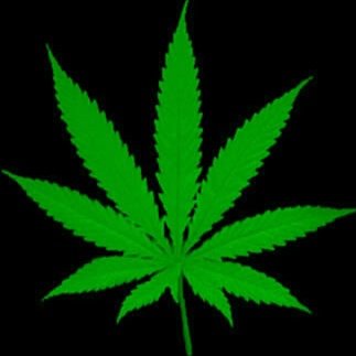on a mission to industrialize the marijuana business on the east coast. Invest in us and you wont be dissapointed. hemp, edibles, and vapes are the future.