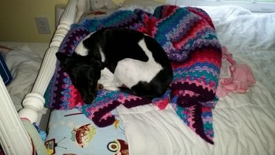 stampnutt's profile picture. A wife and mommy who is always looking for more time to be crafty and game.