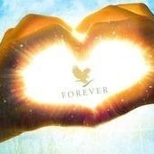 ForeverAloeYeg's profile picture. Forever Living Products Distrubutor (ID# 200002509155) based in Edmonton, lover of Aloe Vera and all things natural ✨