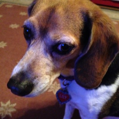 mkdoherty's profile picture. 