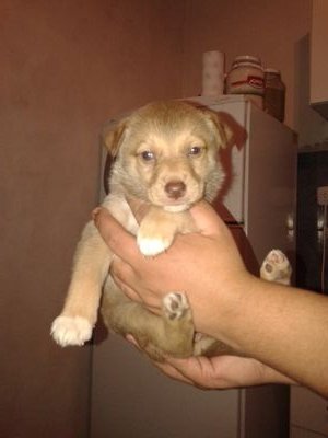 5e44e1dbf070463's profile picture. 