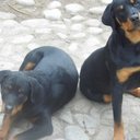 Max Benjamin  - @Mbenx92 - Twitter