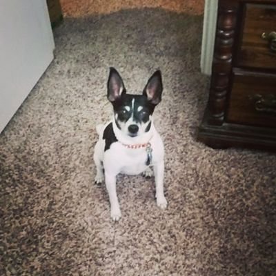 Love my family and my furry child, Valkyra, against any cruelty to children and animals and people who are unable to defend their selves.
