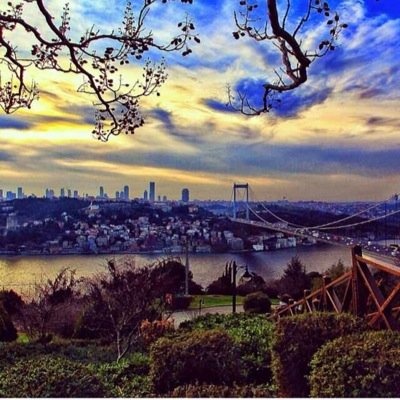 fahdahalaoni's profile picture. 