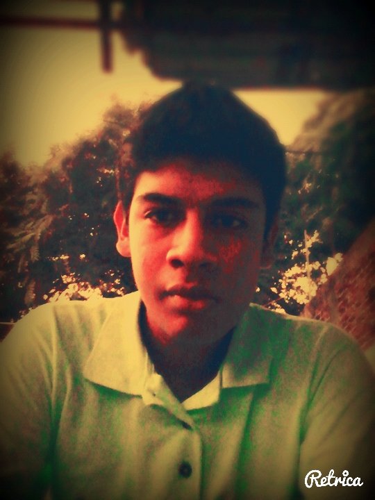 luispioncalix's profile picture. 