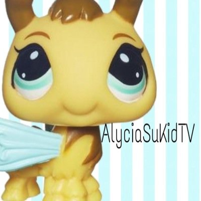 i have a passion forr photography,art, and dance . its my life in pictures and tweets its just a start . -LPS.Alycia♡