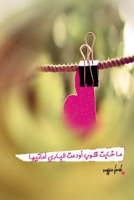 ‏‏‏‏‏انثى تستمتع باداء ادوارها في الاسره فكل فرد منهم يحمل جزء من قلبي اسعى لسعادتهم ليسعد قلبي
