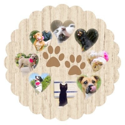 Animal Rescue Volunteer #cats #dogs #adoptdontshop #rescues #shelters #raleigh #wakeforest #rolesvillle Instagram @pawsandpaws for fun!