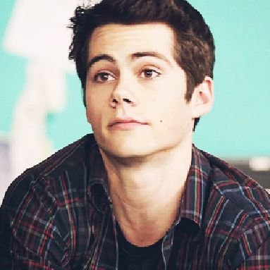 DOBrienDH's profile picture. Shelley and Lily are better than u. King of the populars