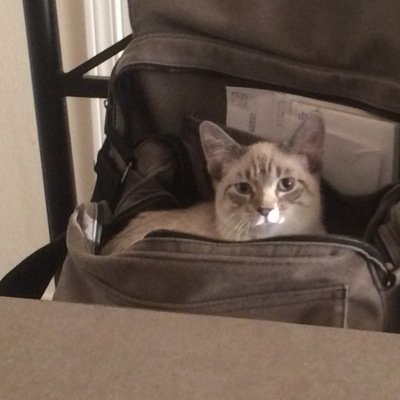 PaintballMormon's profile picture. 