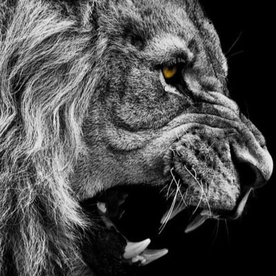 cambumba514's profile picture. 