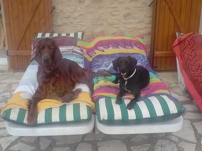 Athaa1973's profile picture. 