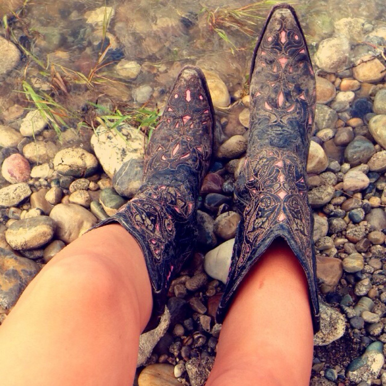 Give me a half broke colt and let me fly.