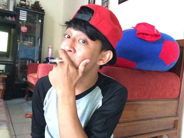 pilmadcats's profile picture. SINGEL :')