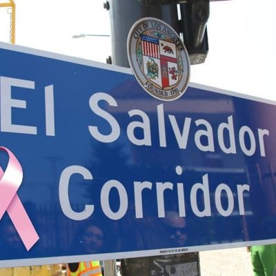 Visit El Salvador Corridor Town LA,nuestros compatriotas en LOS ANGELES, invirtiendo nuestro tiempo y dedicación a crear y organizar esta ciudad Salvadoreña