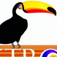 Decktropic (@decktropic) 's Twitter Profile