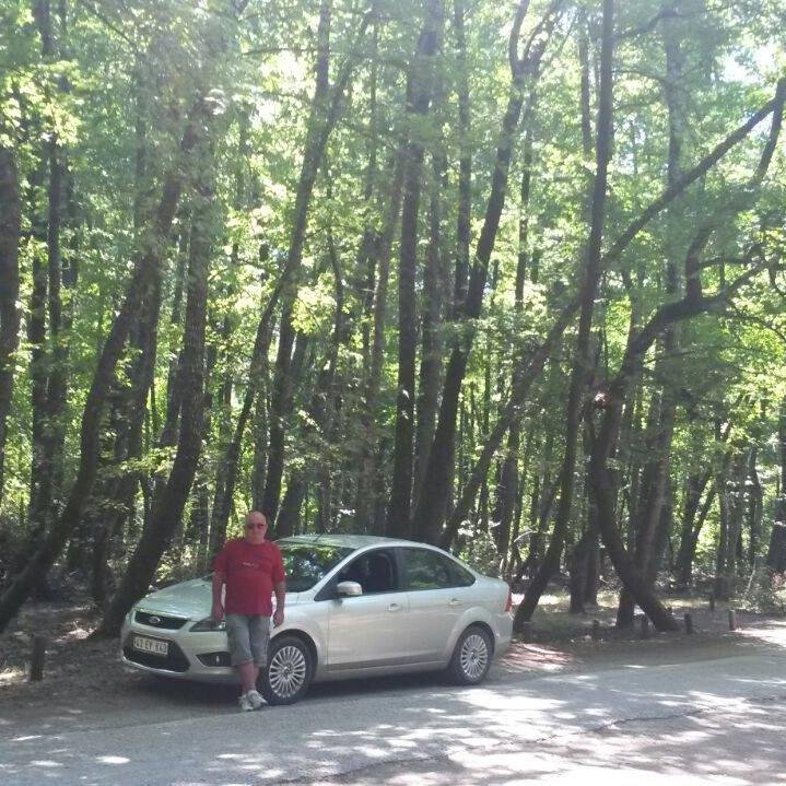 OSMANYCEL's profile picture. 