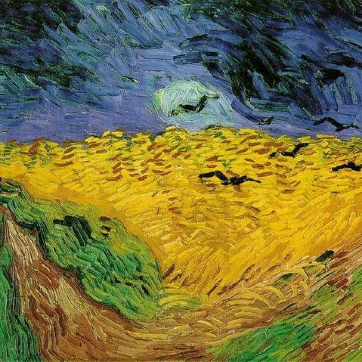 surger12's profile picture. 