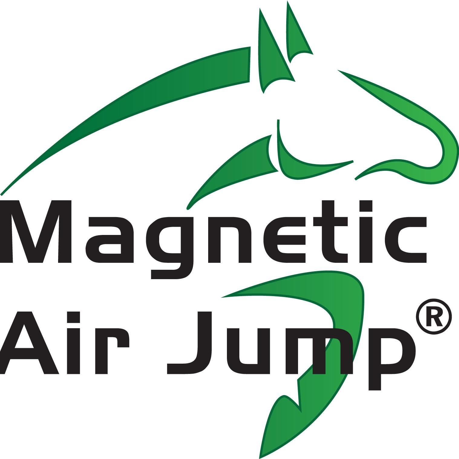 Magnetic Air Jump® is the first obstacle for equestrian sports consisting of inflatable wings and barriers made of  flexible material with high toughness.