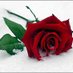 إبداع (@maaath20) Twitter profile photo إبداع (@maaath20) Twitter profile photo