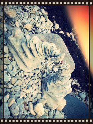 carnikavsa24's profile picture. я занимаюсь танцами,тенисам