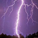 Elaine Sharp - @myfuchia - Twitter