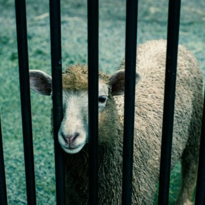 キャンプ、観光、日常スナップを軸に一眼片手に活動してます。