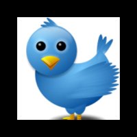 دعم حسابات (@modrdso) 's Twitter Profile