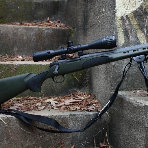 GT- DT Hansenn