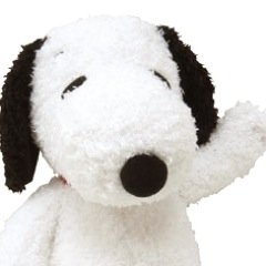 むしゅめ(5y) 🐹なんだこいつ旦那🐻飯🍚🍺日々のあれこれ💭30代都内リモート勤務💻🐶💫義父母ディスタンス芸人