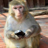 Steijn Koeijvoets (@steijn1977) 's Twitter Profile