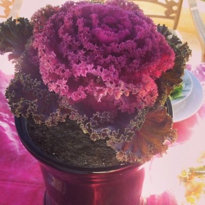 saroonafalah's profile picture. 