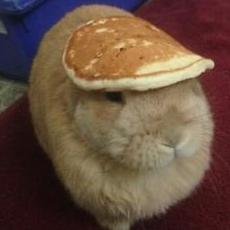 dhianasa00's profile picture. ♥ @jakerawr ♥