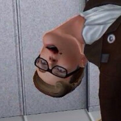 Cuando los Sims hacen cosas inexplicables.