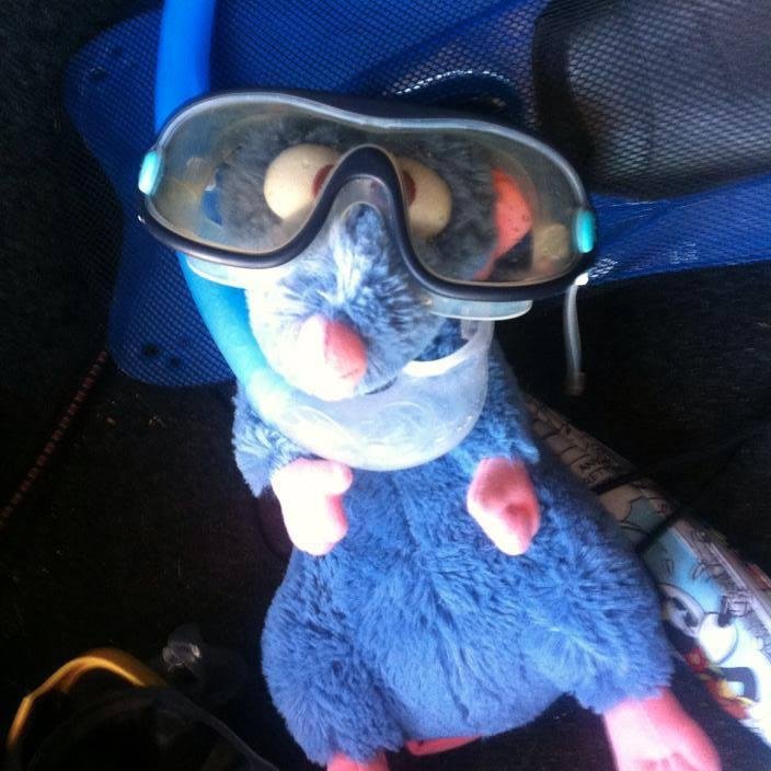 valy15's profile picture. giovane art director mi destreggio tra cucina creativa e passione per il profumo di benzina della mia motina