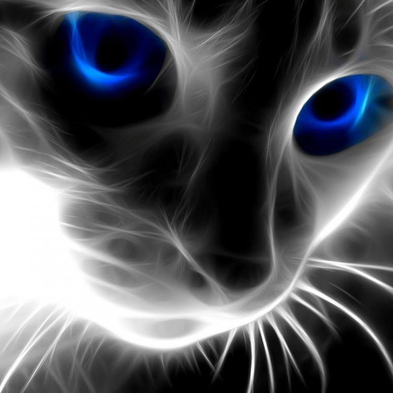 Striketrough's profile picture. i Love Thailanders actors and actress