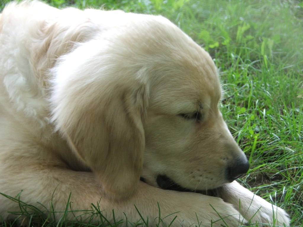 lmitchell04's profile picture. My alter ego and more interesting twitter feed is @GuelphILO