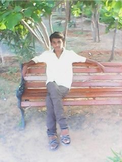 pavan