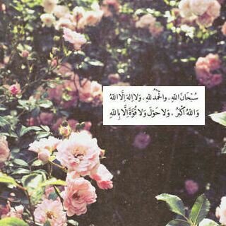 سبحان الله وبحمده..سبحان الله العظيم..