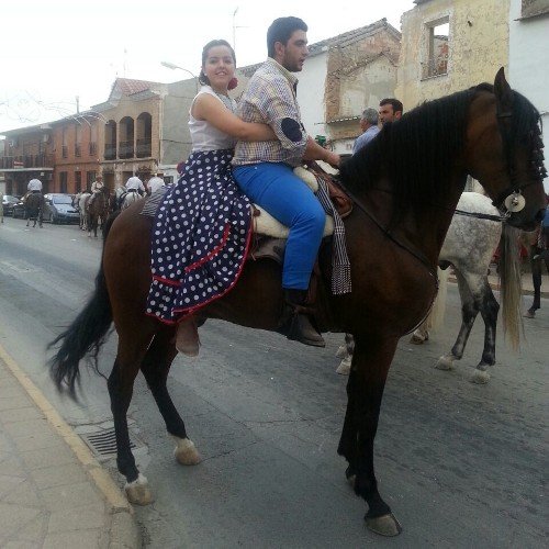 ManuCS_811's profile picture. 19~Caballista! Aficionado de la doma vaquera, del caballo PRE y capa castaña!   ~No sabes lo Que tienes hasta qe lo pierdes!! ~~ L 10+7:) ~»del 95!