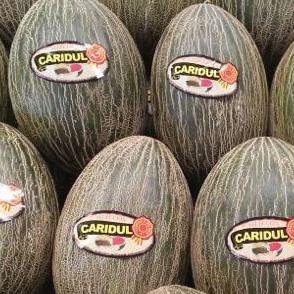 Producción, compra, venta y envasado de melones y sandias al por mayor.