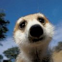 Clinton Steven - @StevenClinton71 - Twitter